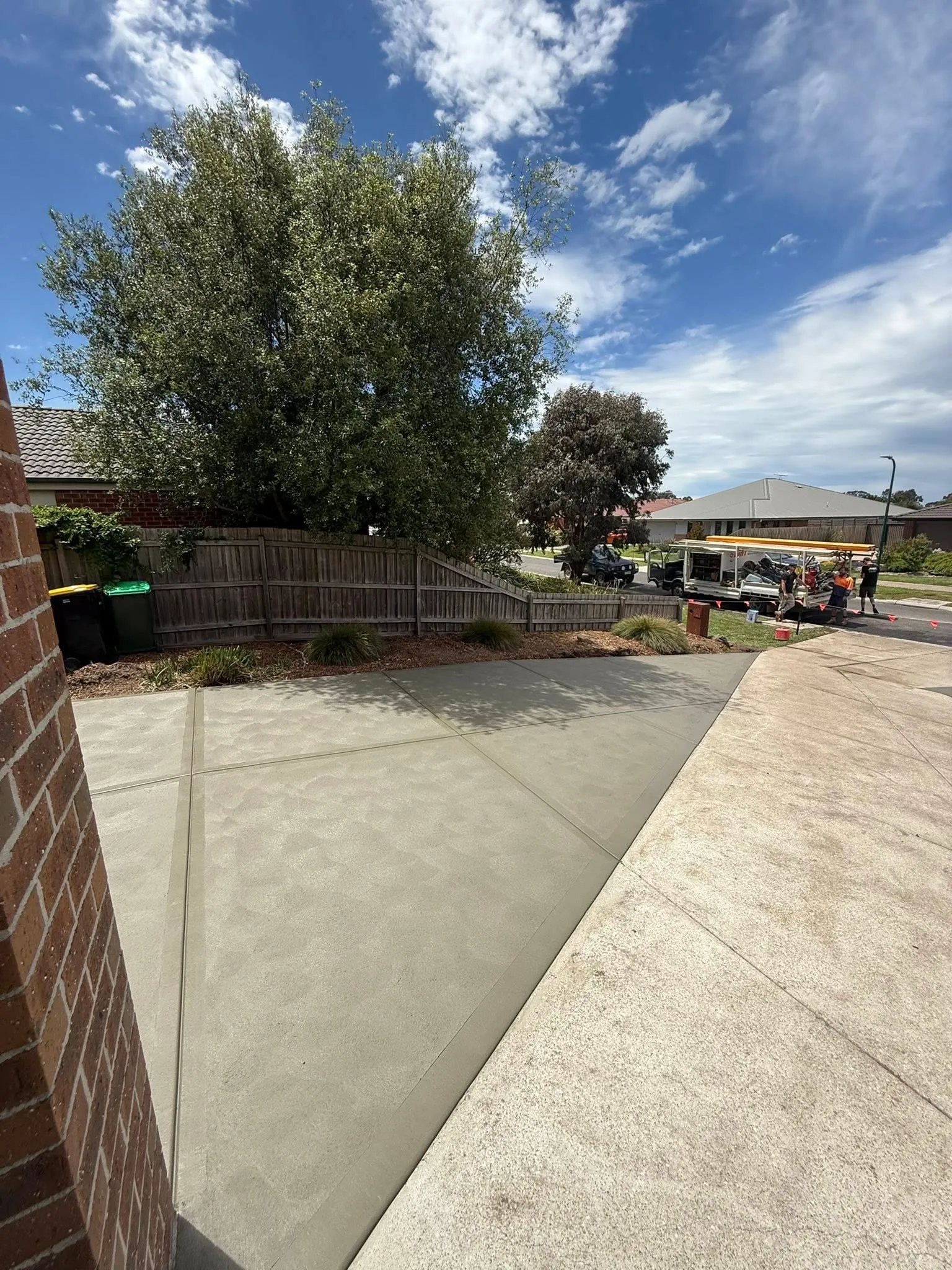 Light grey concrete driveway with brick edging running past a big gum tree in a sunny suburban yard