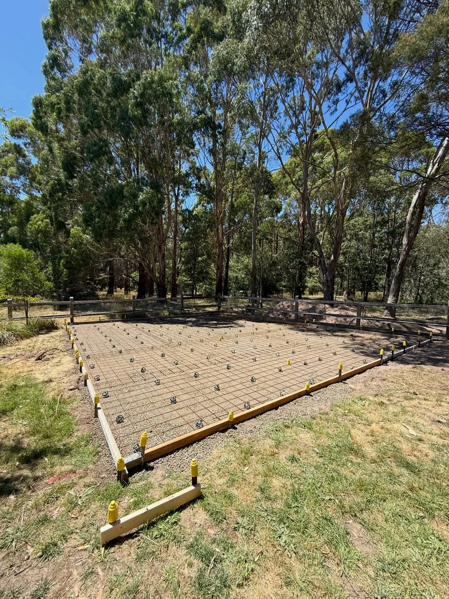 Timber forms, mesh and chairs in place for the bush-block shed slab under the gums